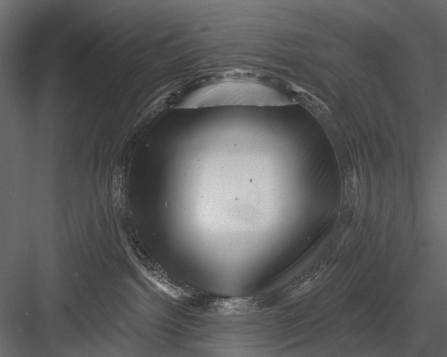 X0000082980092200702230045
