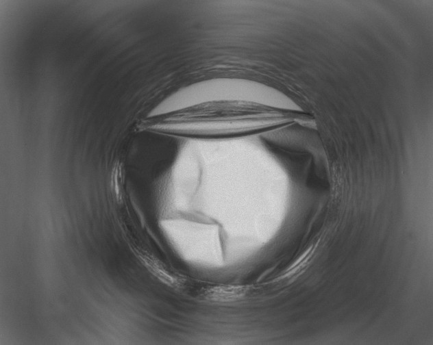 X0000082980094200702230045