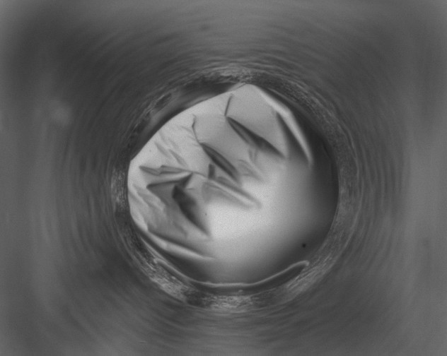 X0000082980096200702230045