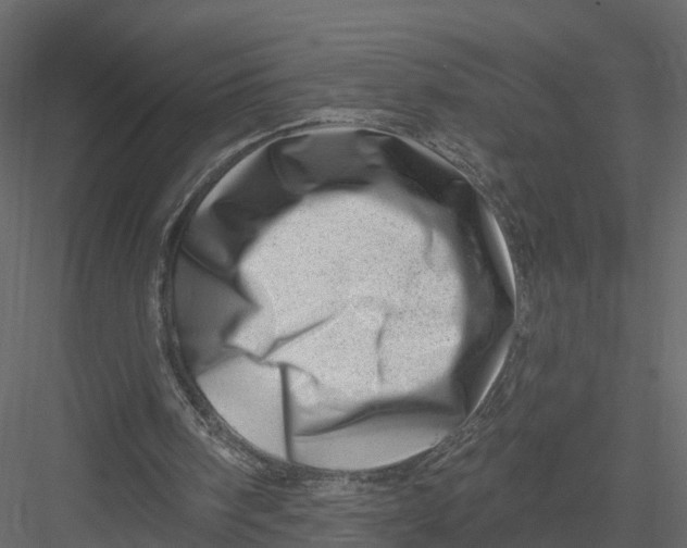 X0000082980098200702230044