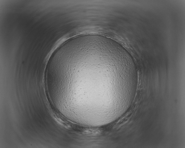 X0000082980099200702230044
