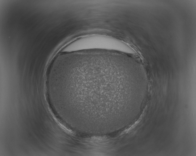 X0000082980101200702230044