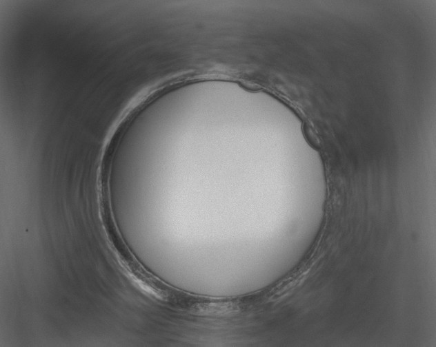 X0000082980102200702230044