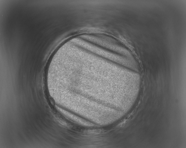 X0000082980103200702230044