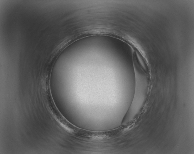 X0000082980105200702230044