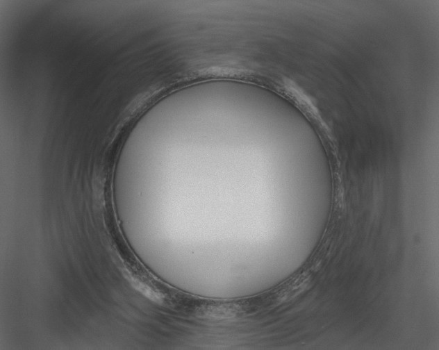 X0000082980106200702230044