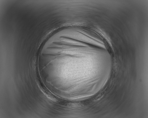 X0000082980107200702230044
