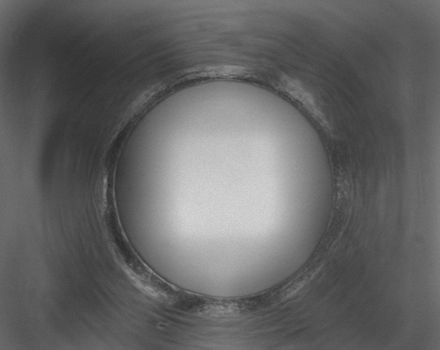 X0000082980110200702230044