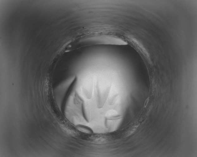 X0000082980113200702230044