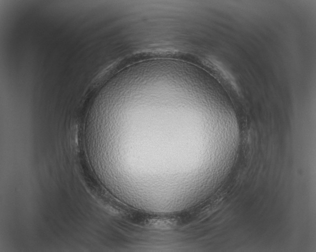 X0000082980115200702230044