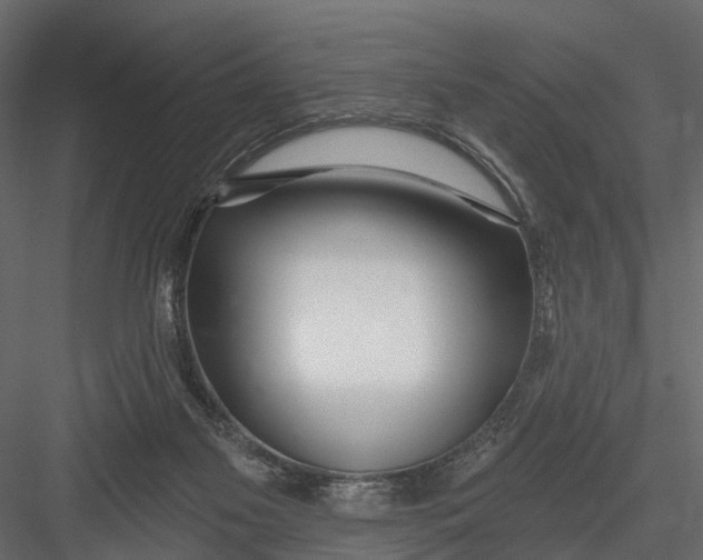 X0000082980117200702230044