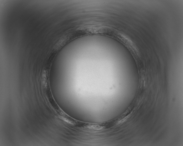 X0000082980121200702230044