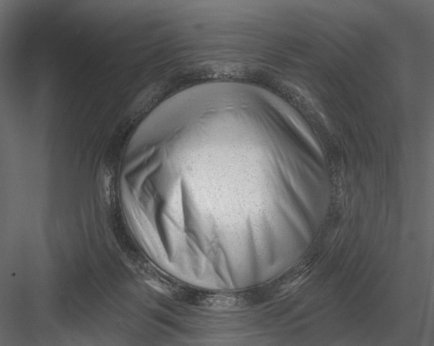 X0000082980123200702230044