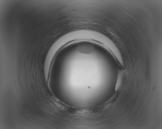 X0000082980125200702230044