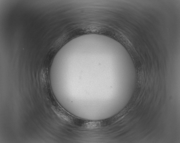 X0000082980126200702230044