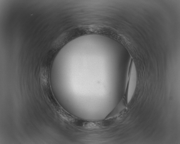 X0000082980129200702230043