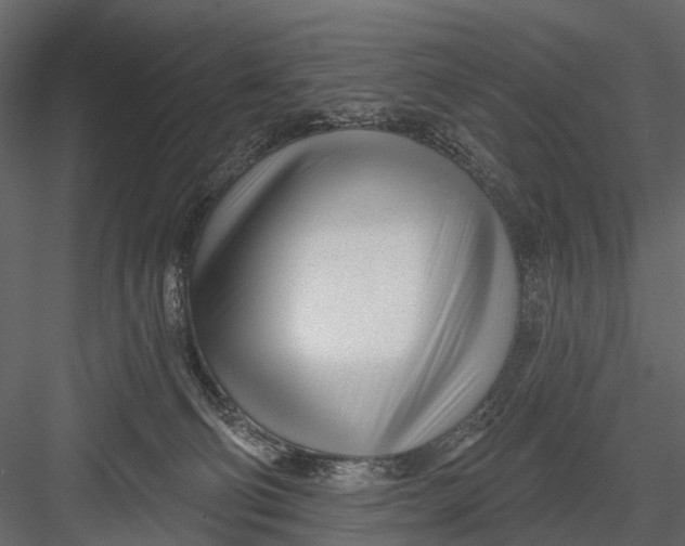 X0000082980130200702230043
