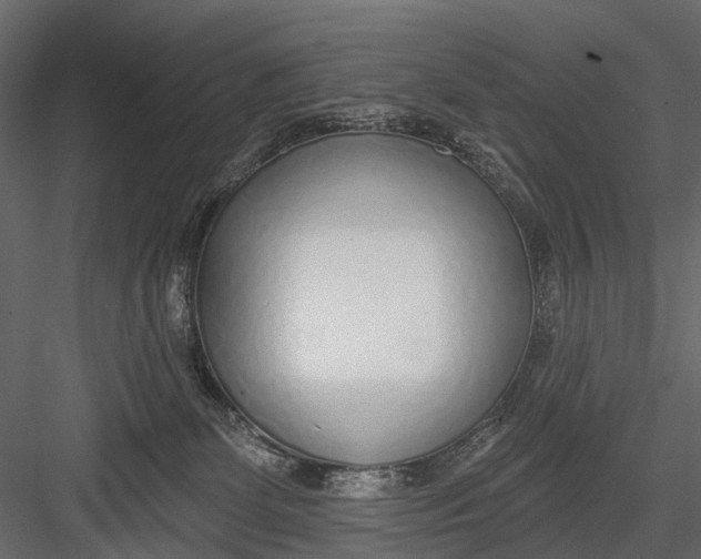 X0000082980131200702230043
