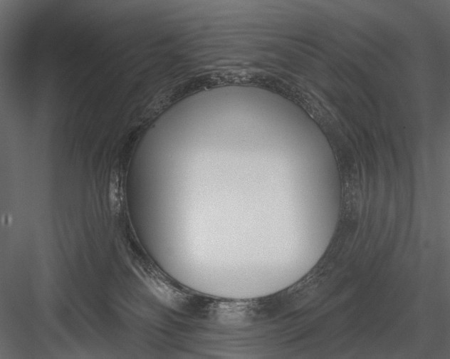 X0000082980134200702230043