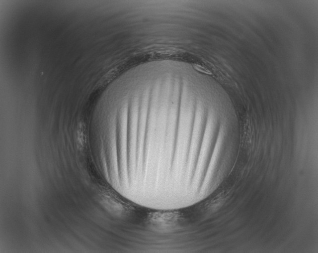 X0000082980135200702230043