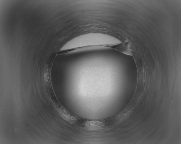 X0000082980137200702230043