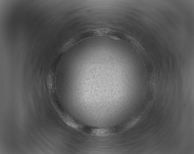 X0000082980139200702230043