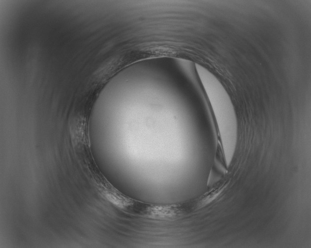 X0000082980141200702230043