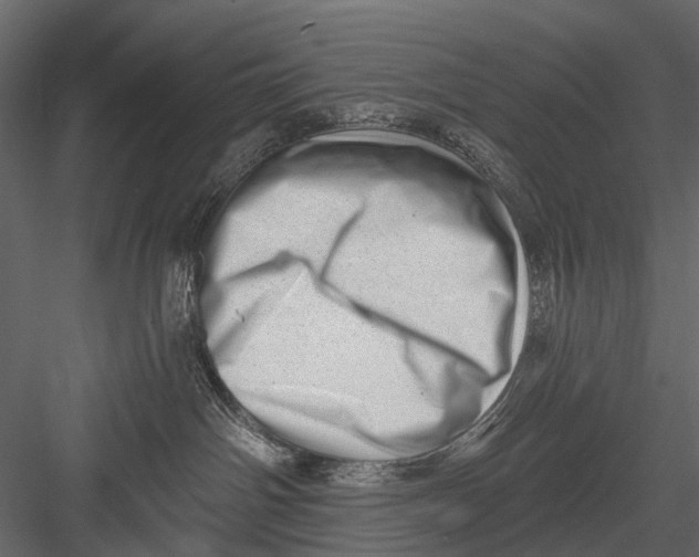 X0000082980142200702230043