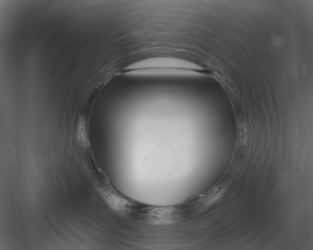 X0000082980143200702230043