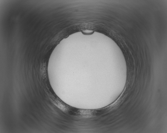 X0000082980144200702230043