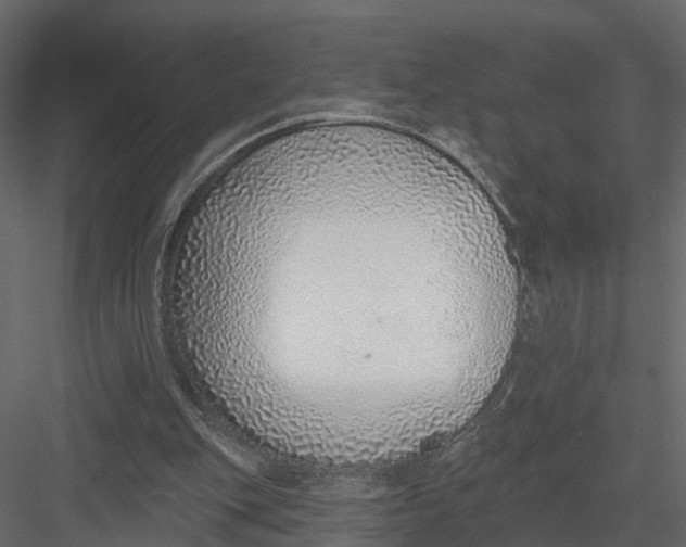 X0000082980151200702230043