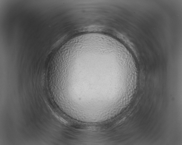 X0000082980153200702230043
