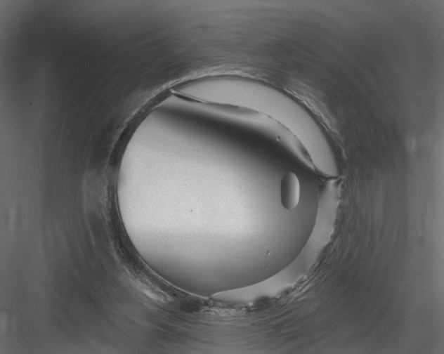 X0000082980156200702230043
