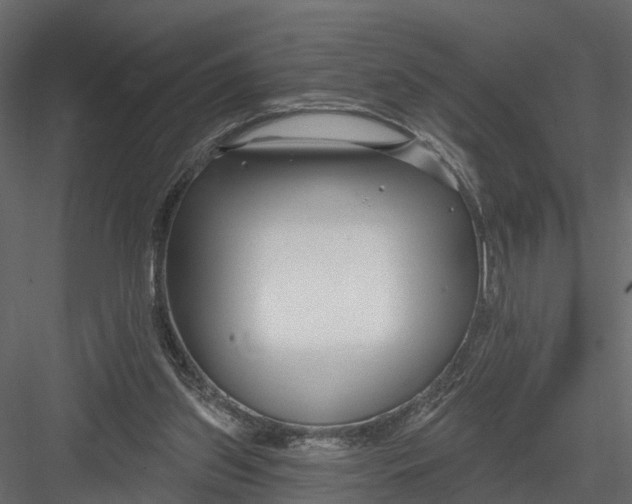 X0000082980157200702230043