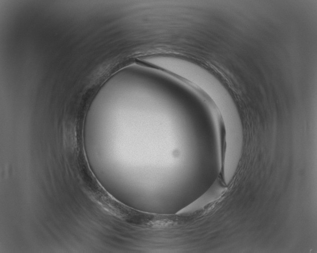X0000082980158200702230043