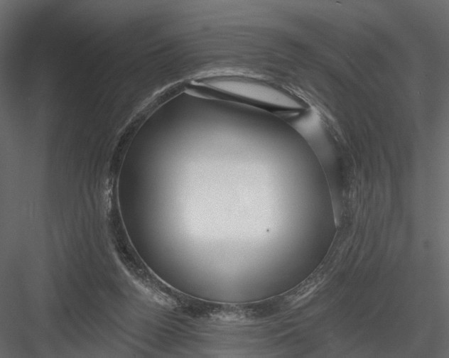 X0000082980160200702230043