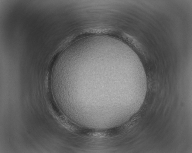 X0000082980163200702230043