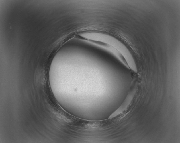 X0000082980164200702230043