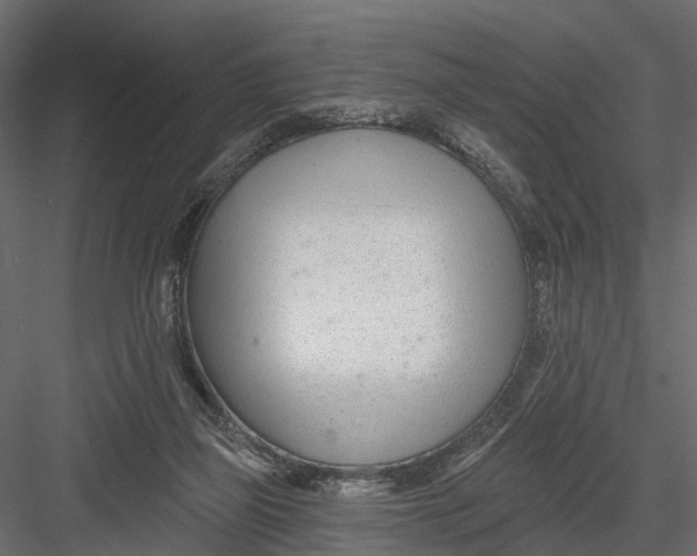 X0000082980165200702230043