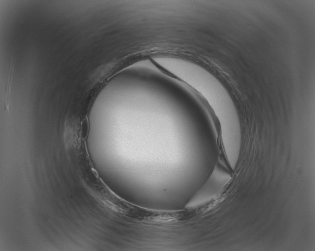 X0000082980168200702230043
