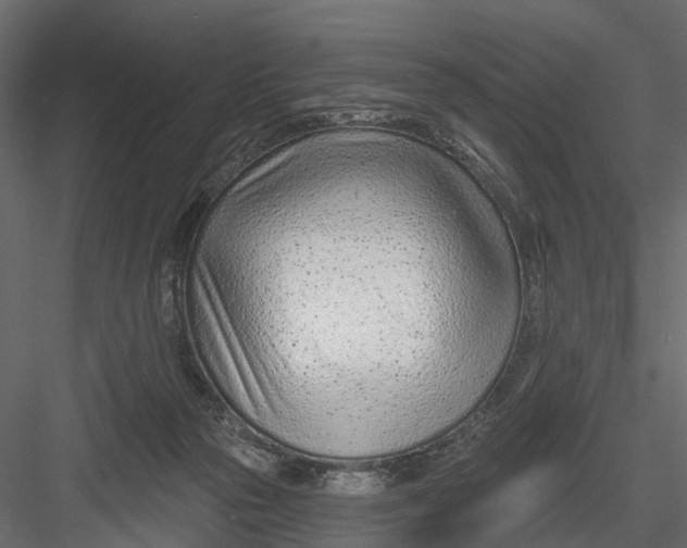 X0000082980169200702230043
