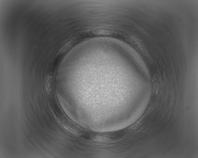 X0000082980171200702230043
