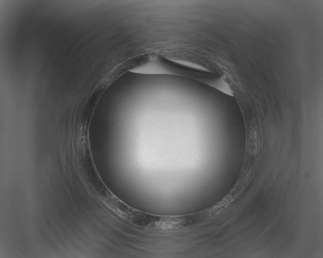 X0000082980172200702230043