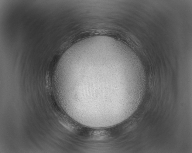 X0000082980173200702230043