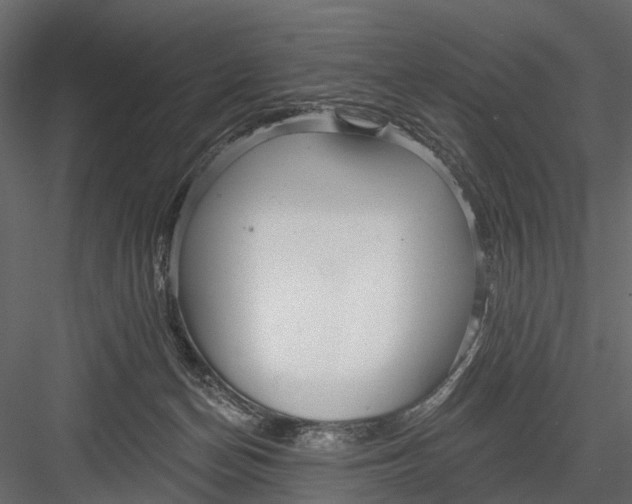 X0000082980174200702230043