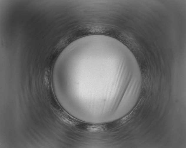 X0000082980175200702230043