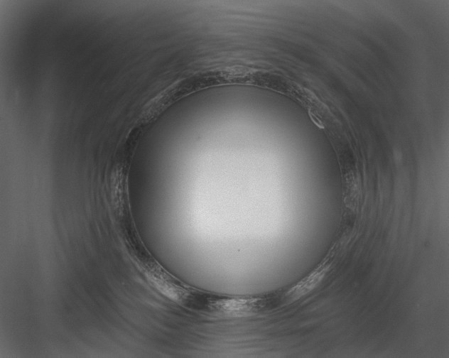 X0000082980184200702230043