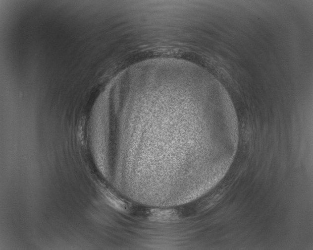 X0000082980185200702230043