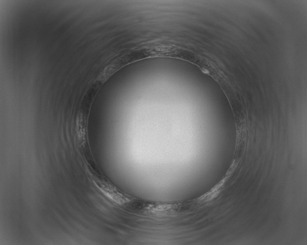 X0000082980186200702230043