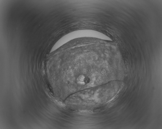 X0000082980187200702230043